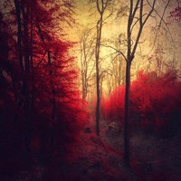 Ruby Red Forest Fine Art Print