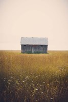 Music For Silence Fine Art Print