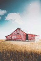 Restoration Fine Art Print