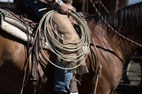 Sierra Style Fine Art Print