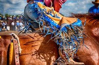 The Bronc Rider Fine Art Print