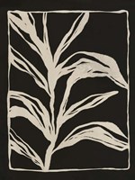 Garden Fine Art Print