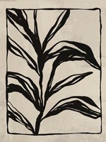 Garden 2 Fine Art Print