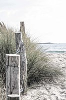 Coastal V Fine Art Print