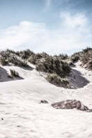 Coastal IV Fine Art Print