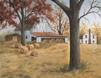 Last Hay Harvest Fine Art Print