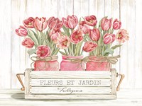 Trio of Pink Tulips Fine Art Print