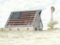 USA Barn Fine Art Print