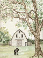 Country Charm Fine Art Print