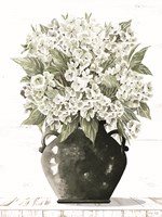 Charming Hortensia Fine Art Print
