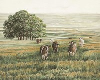 Peaceful Pasture Fine Art Print