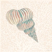 Miami Vibe Seashell 1 Framed Print