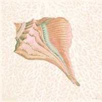 Miami Vibe Seashell 3 Framed Print