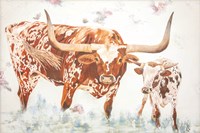 Longhorn and Calf Fine Art Print