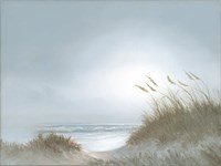 Misty Morning Dunes Fine Art Print
