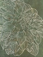 Bud Growth 2 Fine Art Print