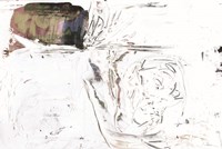 At a Snail's Pace Fine Art Print