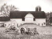 Big Country Barn Fine Art Print