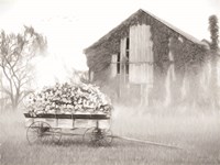Country Flower Wagon Fine Art Print