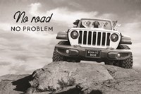 No Road, No Problem Fine Art Print