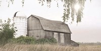 Foggy Watkins Glen Farm Fine Art Print