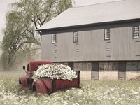 Full of Flowers Fine Art Print