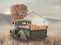 Fall Finds Fine Art Print