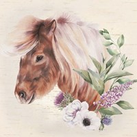 Paisley the Pony Fine Art Print