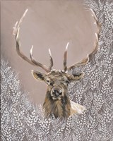 Evander the Winter Elk Fine Art Print