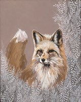Fraser the Winter Fox Fine Art Print