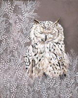 Oliver the Winter Owl Fine Art Print