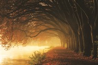 Autumn Sunrise Fine Art Print