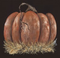 Pumpkin Study Fine Art Print