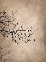 At Rest in the Lake Fog Fine Art Print