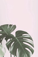 Arriving Fine Art Print