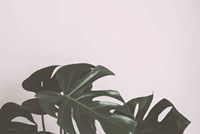 Moody Fine Art Print