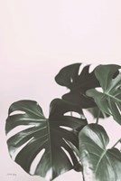 Awaiting Fine Art Print