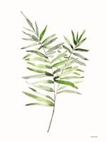 Leafy Stem 1 Fine Art Print