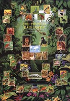 Tropical Rain Forest by Richard Henson - 26" x 38"