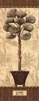 Botanical Palm I Fine Art Print