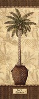 Botanical Palm III Fine Art Print