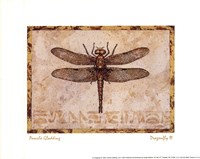 Dragonfly III by Pamela Gladding - 10" x 8"