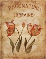 Parcnaturel III Fine Art Print