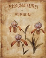 Parcnaturel IV Fine Art Print