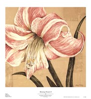 Blooming Wonder II Fine Art Print