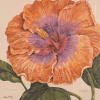 Island Hibiscus II Fine Art Print