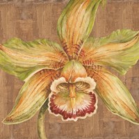 Aloha Beauty I Fine Art Print