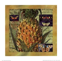 Pineapple II by Walter Robertson - 12" x 12"