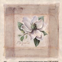 Magnolia by Lanie Loreth - 6" x 6"