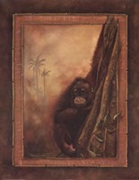 Orangutan II by Patricia Quintero - 22" x 28"